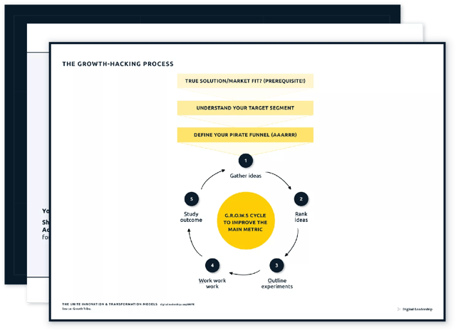 The Growth-Hacking process — download package