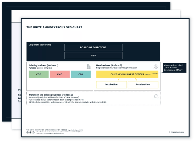 The UNITE ambidextrous org-chart — download package